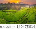 Terraced Rice Fields at Sunrise in Indonesia. Beautiful panoramic view of terraced rice fields surrounded by lush tropical greenery and palm trees 140475614