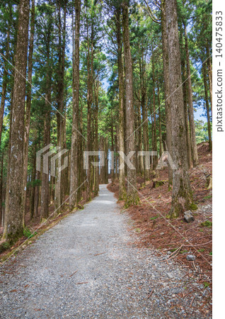 Route to the summit of Mt. Minobu and the northern observation deck [Mt. Minobu Ropeway] 140475833