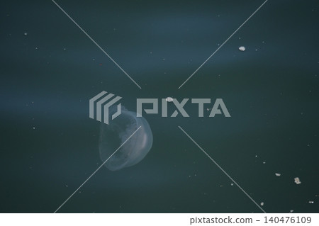 籠子 籠子 140476109