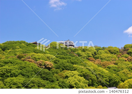 [愛媛郡松山市] 松山城、堀之內、城山公園、安城廣場 140476312