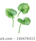 Watercolor botanical set with lesser celandine leaves in delicate hand-painted style. Spring floral elements for patterns, stationery, fabric, wallpaper and packaging design. 140476415