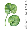 Watercolor botanical set with lesser celandine leaves in delicate hand-painted style. Spring floral elements for patterns, stationery, fabric, wallpaper and packaging design. 140476416