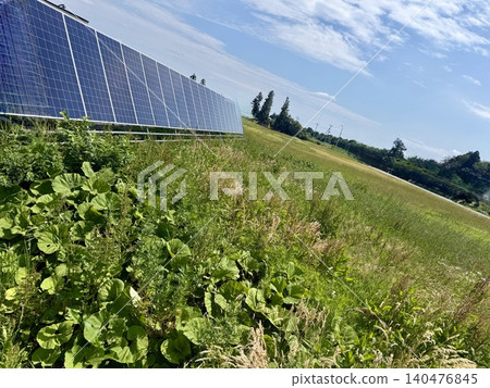 Solar power plant surrounded by weeds Solar power plant surrounded by weeds 140476845