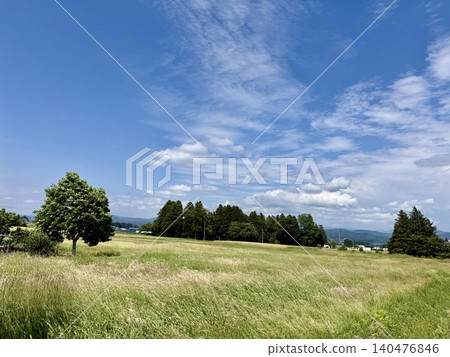 A pleasant grassland A pleasant grassland 140476846