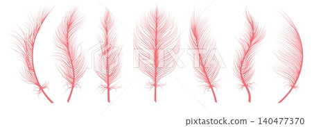 Coral feathers set Coral feathers set 140477370