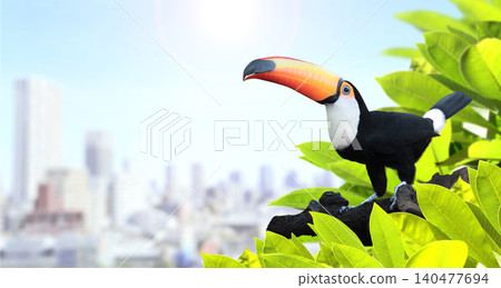 Modern environmentally friendly city, toucan bird and green leaves. Safety, global ecological resource, go green concept. Environmental conservation, wildlife protection, Eco-friendly, Green energy 140477694