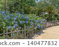 A path in Shukkei-en Garden where hydrangeas are in bloom. A path in Shukkei-en Garden where hydrangeas are in bloom. 140477832