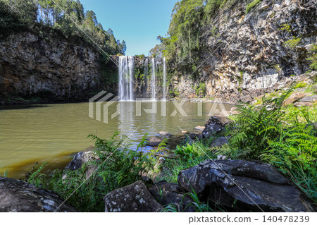 Dangar Falls flowing into pool in Dorrigo, New South Wales, Australia. Scenic natural landscape showing cascading water entering freshwater basin surrounded by forest environment. Dangar Falls flowing into pool in Dorrigo, New South Wales, Australia. Scenic natural landscape showing cascading water entering freshwater basin surrounded by forest environment. 140478239