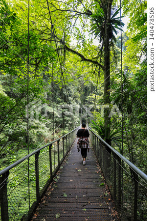 Woman walking across bridge spanning small waterfall in Dorrigo National Park in New South Wales, Australia. Woman walking across bridge spanning small waterfall in Dorrigo National Park in New South Wales, Australia. 140478506