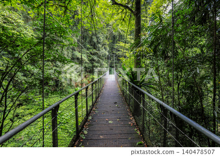 View of suspension bridge through rainforest in Dorrigo National Park, New South Wales, Australia. Scenic forest landscape showing elevated bridge structure surrounded by dense vegetation. View of suspension bridge through rainforest in Dorrigo National Park, New South Wales, Australia. Scenic forest landscape showing elevated bridge structure surrounded by dense vegetation. 140478507