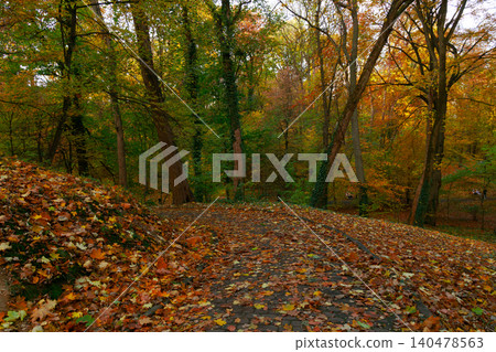 atmospheric September park local place without people with fallen leaves cover and brown colors atmospheric September park local place without people with fallen leaves cover and brown colors 140478563