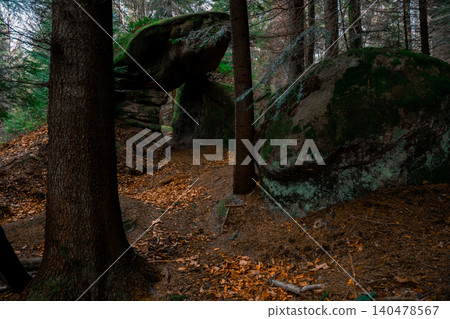 tranquil forest scene in autumn featuring a path winding between large moss-covered rocks and a carpet of fallen leaves tranquil forest scene in autumn featuring a path winding between large moss-covered rocks and a carpet of fallen leaves 140478567