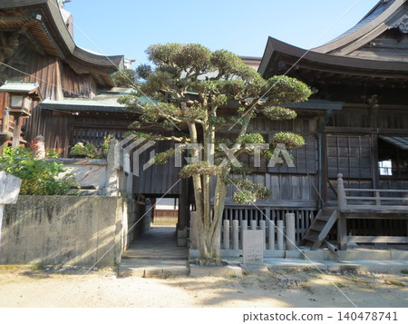 2014年,香川縣,觀音寺,八幡宮,風景,神社,琴引八幡宮,第126集 2014年,香川縣,觀音寺,八幡宮,風景,神社,琴引八幡宮,第126集 140478741