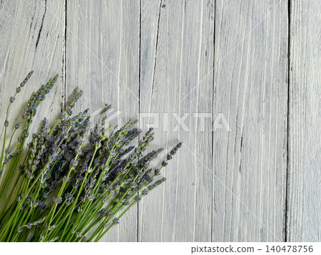 Lavandula lavender Lavandula lavender 140478756