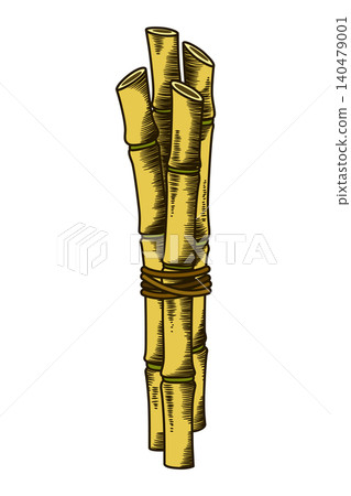 Cane sugar. Sugarcane plant. Engraving hand drawn natural organic food or natural ingredient. Fresh sugar bamboo Cane sugar. Sugarcane plant. Engraving hand drawn natural organic food or natural ingredient. Fresh sugar bamboo 140479001