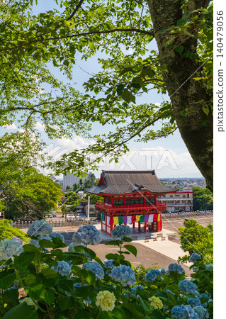 犬山成田山寺(愛知縣犬山市)的繡球花盛開 犬山成田山寺(愛知縣犬山市)的繡球花盛開 140479056