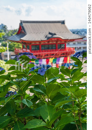 犬山成田山寺(愛知縣犬山市)的繡球花盛開 犬山成田山寺(愛知縣犬山市)的繡球花盛開 140479062