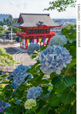Hydrangeas in full bloom at Inuyama Naritasan Temple (Inuyama City, Aichi Prefecture) Hydrangeas in full bloom at Inuyama Naritasan Temple (Inuyama City, Aichi Prefecture) 140479063