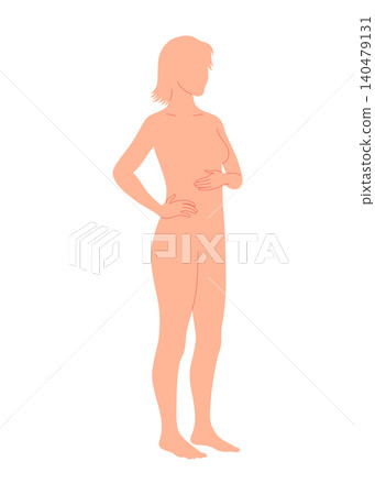 Female full body human anatomy silhouettes, medical and scientific concept 140479131