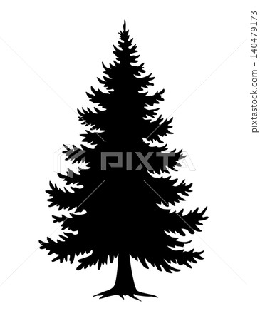 Tall conifer silhouette pointing toward sky, layered needles forming dense triangular profile, evergreen alpine mood with woodland depth and seasonal holiday resonance Tall conifer silhouette pointing toward sky, layered needles forming dense triangular profile, evergreen alpine mood with woodland depth and seasonal holiday resonance 140479173
