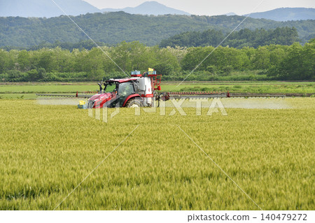 初夏時節,北海道厚別町的麥田裡正在進行害蟲防治工作。 初夏時節,北海道厚別町的麥田裡正在進行害蟲防治工作。 140479272
