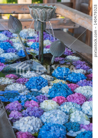Inuyama Naritasan Temple, Hydrangea Flower Water Basin (Inuyama City, Aichi Prefecture) Inuyama Naritasan Temple, Hydrangea Flower Water Basin (Inuyama City, Aichi Prefecture) 140479328