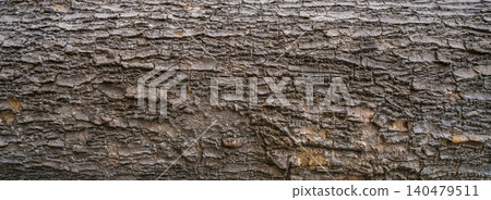 Close-up of tree bark texture background showcasing natural wood patterns and rough grainy surface, ideal for eco-friendly projects and nature-themed designs. Organic material and carbon neutrality. Close-up of tree bark texture background showcasing natural wood patterns and rough grainy surface, ideal for eco-friendly projects and nature-themed designs. Organic material and carbon neutrality. 140479511