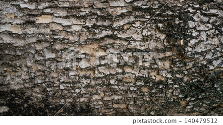 Close-up of tree bark texture background showcasing natural wood patterns and rough grainy surface, ideal for eco-friendly projects and nature-themed designs. Organic material and carbon neutrality. Close-up of tree bark texture background showcasing natural wood patterns and rough grainy surface, ideal for eco-friendly projects and nature-themed designs. Organic material and carbon neutrality. 140479512