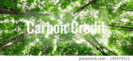 Carbon credit concept. Green mangrove forest. Natural carbon sinks that combat climate change. Sustainability in carbon-neutral ecosystems. Green environments and natural carbon capture solutions. Carbon credit concept. Green mangrove forest. Natural carbon sinks that combat climate change. Sustainability in carbon-neutral ecosystems. Green environments and natural carbon capture solutions. 140479521