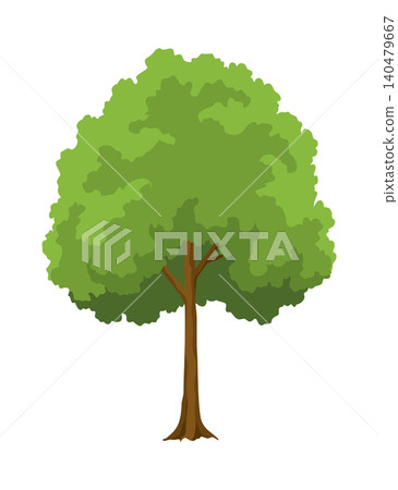 Kind of tree icon. Deciduous plant. Green crowns and lush foliage with natural brown trunks and branches. Vector cartoon illustration Kind of tree icon. Deciduous plant. Green crowns and lush foliage with natural brown trunks and branches. Vector cartoon illustration 140479667