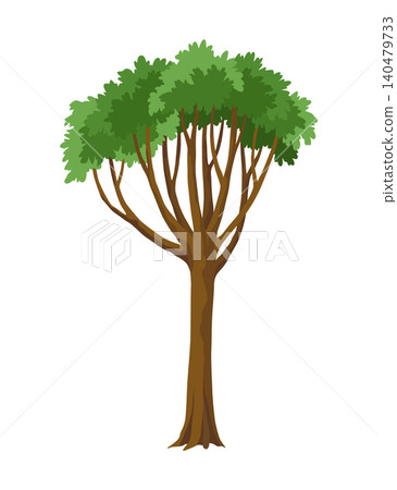 Kind of tree icon. Deciduous plant. Green crowns and lush foliage with natural brown trunks and branches. Vector cartoon illustration Kind of tree icon. Deciduous plant. Green crowns and lush foliage with natural brown trunks and branches. Vector cartoon illustration 140479733