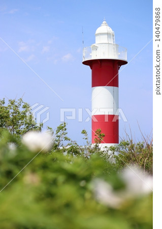 白沙灘玫瑰與石漾燈塔 白沙灘玫瑰與石漾燈塔 140479868