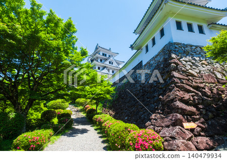 Gujo Hachiman Castle Gujo Hachiman Castle 140479934