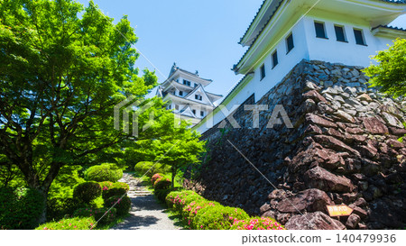 Gujo Hachiman Castle Gujo Hachiman Castle 140479936