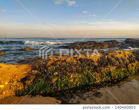 Capture the tranquil essence of a coastal sunset with golden light hitting mossy rocks and crashing waves. This scenic landscape symbolizes resilience and the raw beauty of the natural world. Capture the tranquil essence of a coastal sunset with golden light hitting mossy rocks and crashing waves. This scenic landscape symbolizes resilience and the raw beauty of the natural world. 140480003