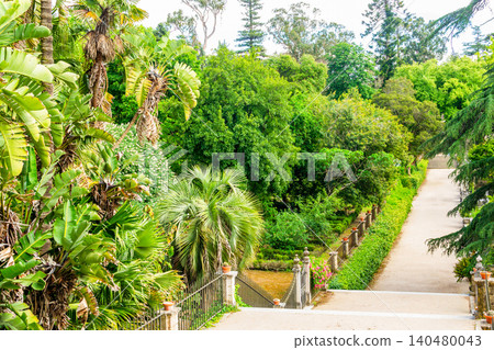 Vibrant and lush botanical garden pathway surrounded by exotic palm trees, stone stairs, and dense green foliage. Perfect for travel, leisure, tourism, and wellness concepts. Vibrant and lush botanical garden pathway surrounded by exotic palm trees, stone stairs, and dense green foliage. Perfect for travel, leisure, tourism, and wellness concepts. 140480043