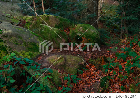 A serene forest path winds through mossy boulders and a carpet of fallen leaves during the vibrant autumn season A serene forest path winds through mossy boulders and a carpet of fallen leaves during the vibrant autumn season 140480294