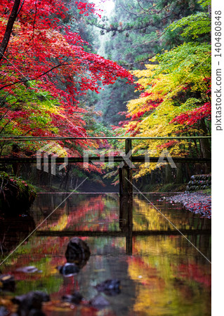 靜岡縣周知郡森町一宮市大國神社及周邊風景 靜岡縣周知郡森町一宮市大國神社及周邊風景 140480848