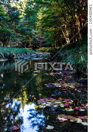 Ichinomiya, Mori-machi, Shuchi-gun, Shizuoka Prefecture Okuni Shrine and the surrounding scenery Ichinomiya, Mori-machi, Shuchi-gun, Shizuoka Prefecture Okuni Shrine and the surrounding scenery 140480961