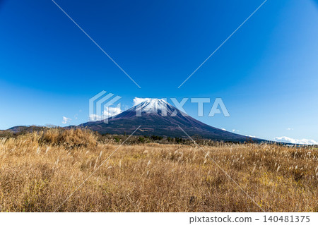 靜岡縣富士宮市根原市朝霧高原的富士山 靜岡縣富士宮市根原市朝霧高原的富士山 140481375