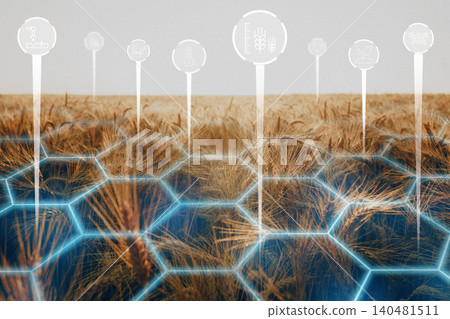 Smart farm technology is used to improve crop growth and management in agricultural fields Smart farm technology is used to improve crop growth and management in agricultural fields 140481511