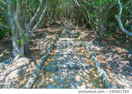 兵庫縣神戶市八伏岳健行路線 兵庫縣神戶市八伏岳健行路線 140481764