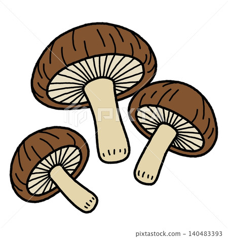 手繪香菇插圖 手繪香菇插圖 140483393