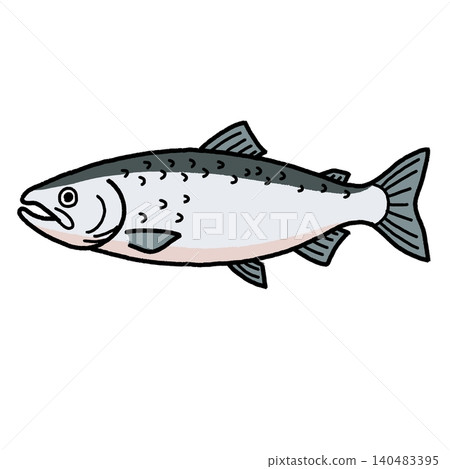 手繪鮭魚插圖 手繪鮭魚插圖 140483395