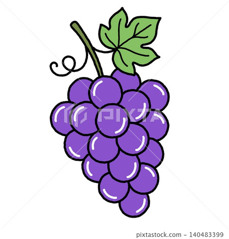 An illustration of a bunch of Kyoho grapes, drawn by hand. An illustration of a bunch of Kyoho grapes, drawn by hand. 140483399