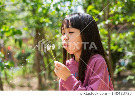 Asian little girl blowing dandelion in park, carefree childhood and nature exploration concept Asian little girl blowing dandelion in park, carefree childhood and nature exploration concept 140483723