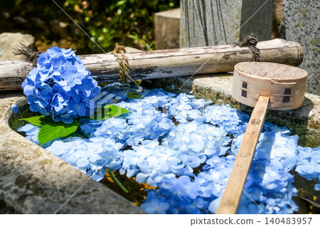 岡山縣真庭市普門寺的繡球花洗禮 岡山縣真庭市普門寺的繡球花洗禮 140483957