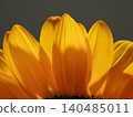 黃花 140485011