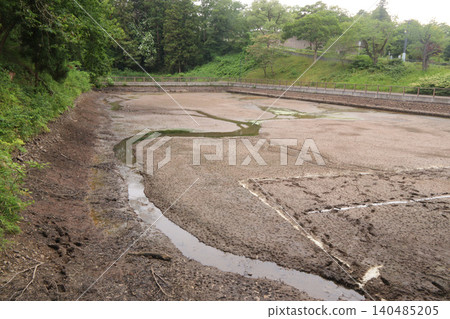 The scene of Goshikinuma, the moat of the second bailey of Sendai Castle, the birthplace of figure skating, being completely drained in Sendai, Miyagi Prefecture. The scene of Goshikinuma, the moat of the second bailey of Sendai Castle, the birthplace of figure skating, being completely drained in Sendai, Miyagi Prefecture. 140485205