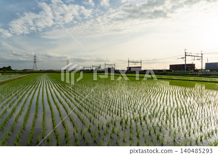 Rice paddies in Kuki City and a freight train at dusk. 140485293
